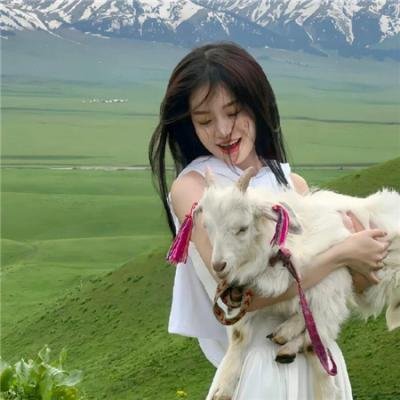 亲情风暴封面