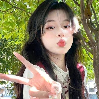 执法者们粤语封面